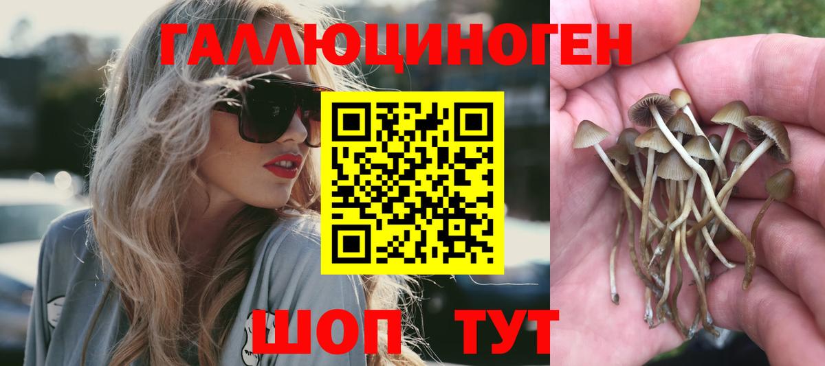 Ростов Великий  Псилоцибиновые грибы прущие грибы  Галлюциногенные грибы GOLDEN TEACHER  Вход с VPN 